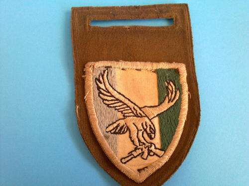 101 BATTALION RECCE COMPANY ARM FLASH (RARE)